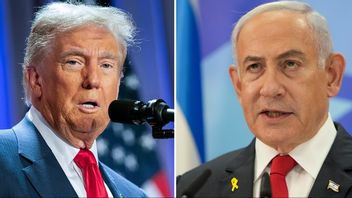 Donald Trump och Benjamin Netanyahu har haft videomöte om Iran. Foto: AP