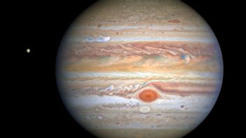 Jupiter med Europa, en av planetens åtta månar. 
Foto: Nasa