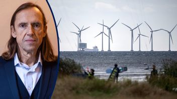 Lillgrund utanför Bunkeflostrand söder om Öresundsbron togs i drift 2008 och är med sina 48 kraftverk fortfarande landets största havsbaserade vindkraftpark. Foto: Johan Nilsson/TT