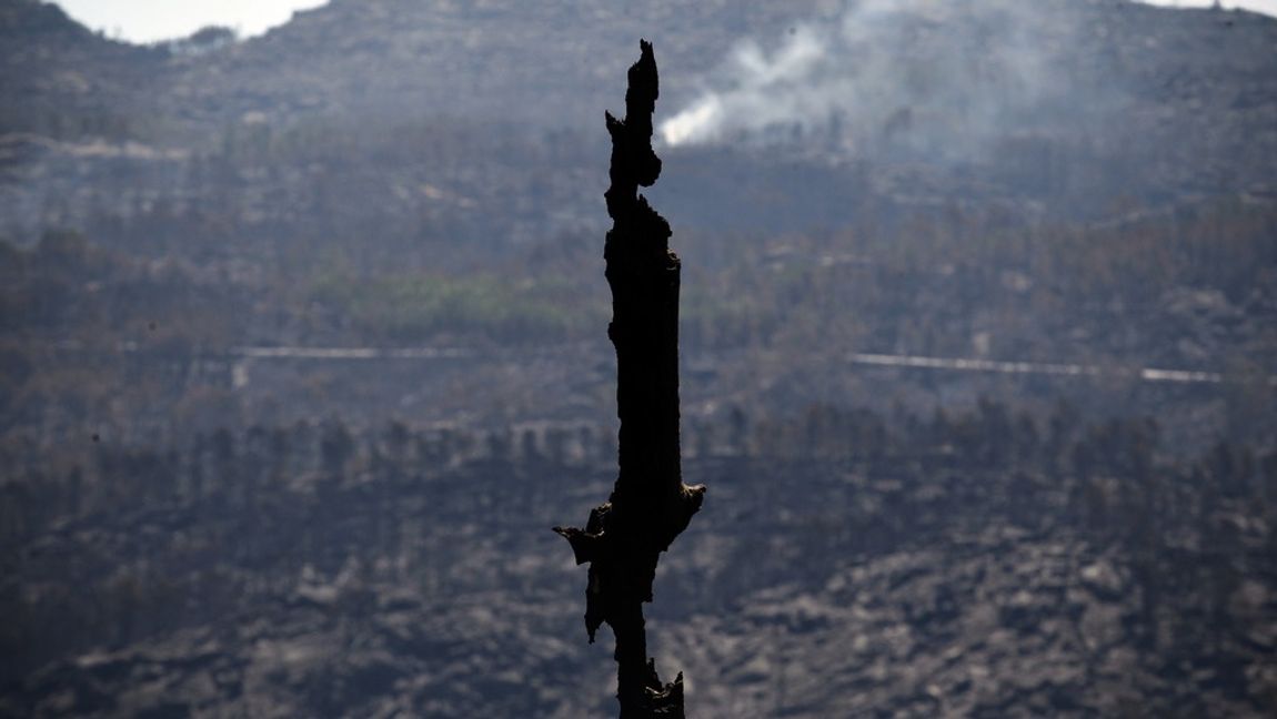 En skogsbrand i Portugal fick dem att bli rädda för sin framtid. Foto: Francisco Seco/TT