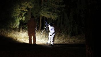 Polisens kriminaltekniker undersöker brottsplatsen i skogsområdet där kvinnan hittades på söndagskvällen. Foto: Caisa Rasmussen/TT