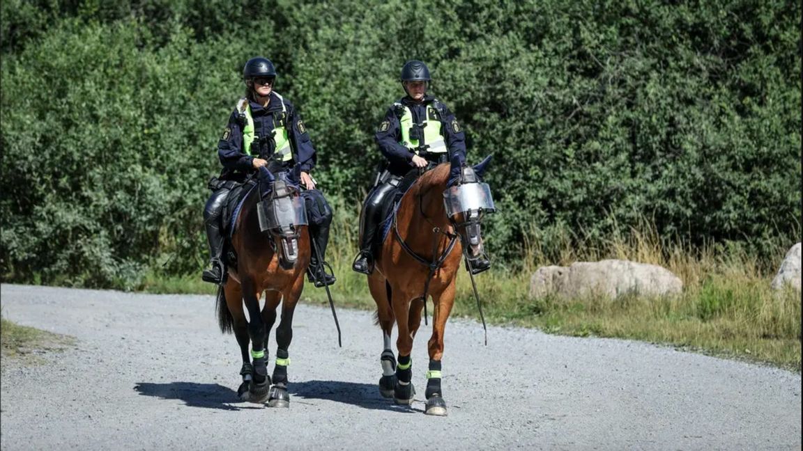 Ridande poliser på Järvafältet. Skulle du hjälpa dem med att visa vartåt en brottsling sprungit? Foto: Caisa Rasmussen/TT