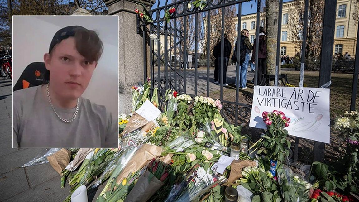 18-årige Fabian Cederholm som 21 mars i år mördade två lärare på Malmö Latinskola. Foto: Polisen / Johan Nilsson/TT