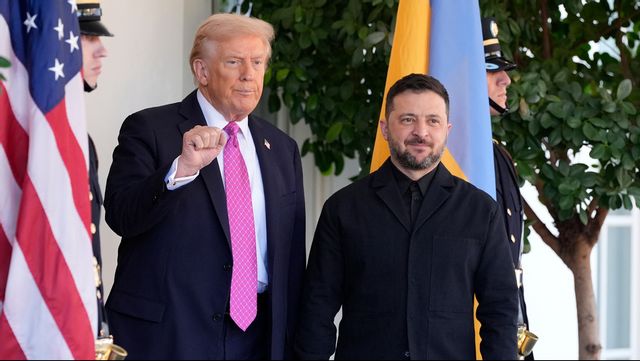 Donald Trump och Volodymyr Zelenskyj i Vita huset. Foto: Alex Brandon/AP/TT