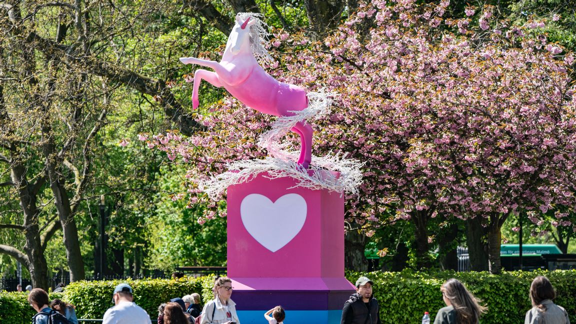 För du och jag har iiiiiingenting annat att fotografera? Foto: Johan Nilsson/TT