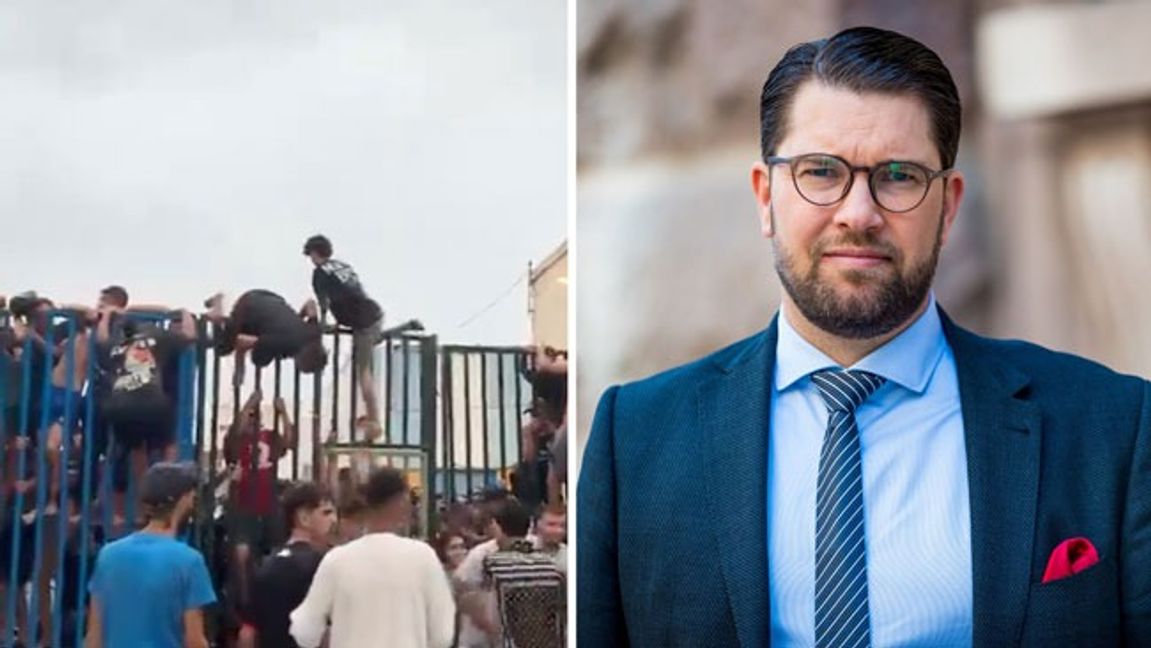 Foto: Skärmdump X/Sverigedemokraterna.