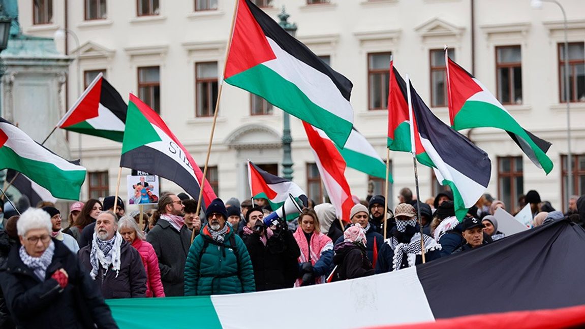 Palestinademonstration i Göteborg i november. Foto: Adam Ihse/TT