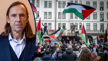 ¨Propalestinsk¨demonstration i Malmö. Foto: Johan Nilsson/TT