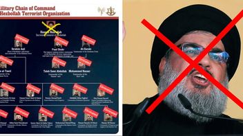 Hassan Nasrallah uppges eliminerad. Foto: AP/IDF