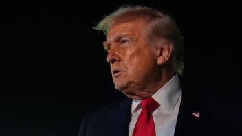 Foto: TT/ AP Photo/Julia Demaree Nikhinson