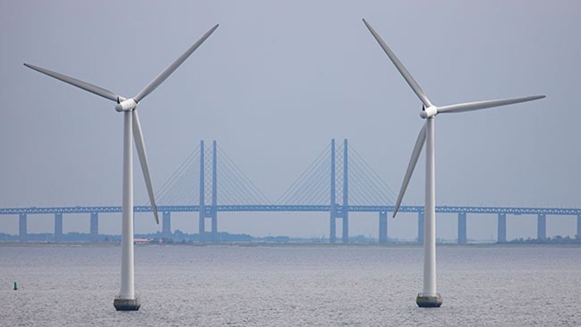 Bild: Paul Kleiven / NTB