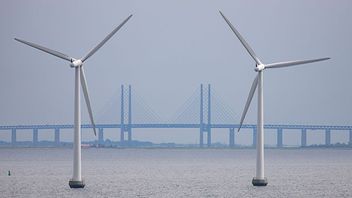 Bild: Paul Kleiven / NTB