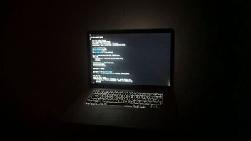 Programmeraryrket hotas av AI-utvecklingen. Sysselsättningsgraden för programmerare i USA har rasat till nivåer som inte setts sedan före internets tid. Foto: TT