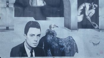 Författaren Albert Camus. Foto: WikiCommons Public Domain