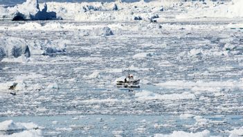 Foto: Jonas Ekströmmer/TT