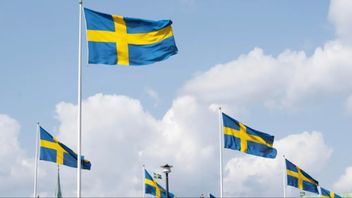 Sverige ska ha vind i seglen, menar Moderaterna Foto: Fredrik Sandberg/TT