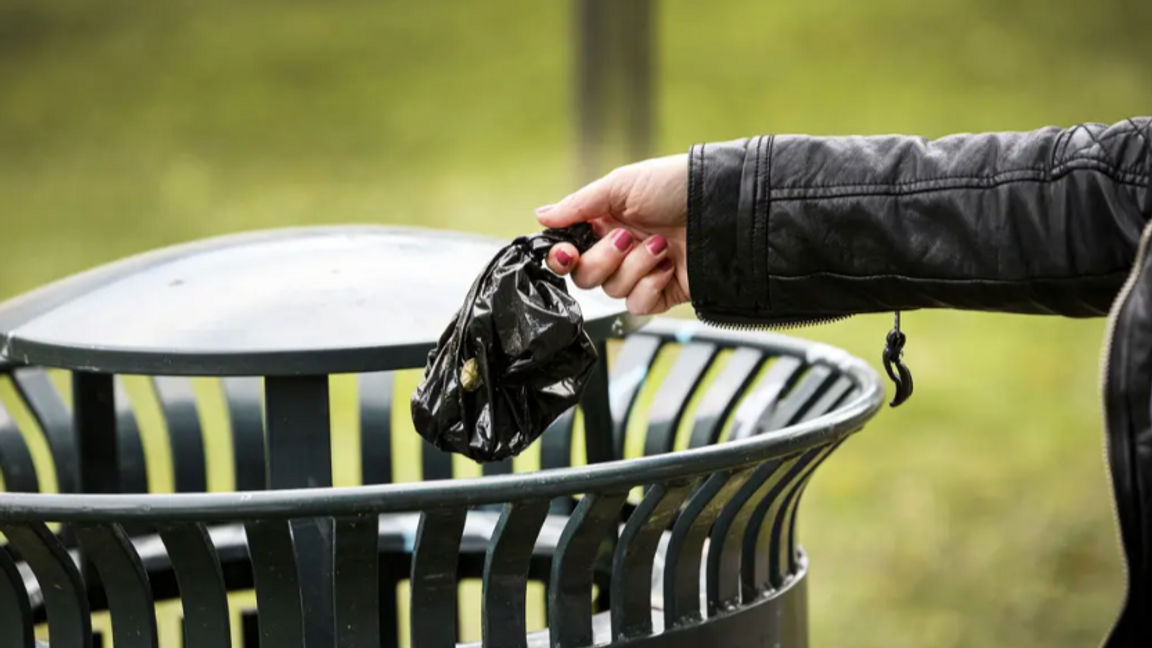 Genrebild. Foto: Gorm Kallestad/NTB/TT