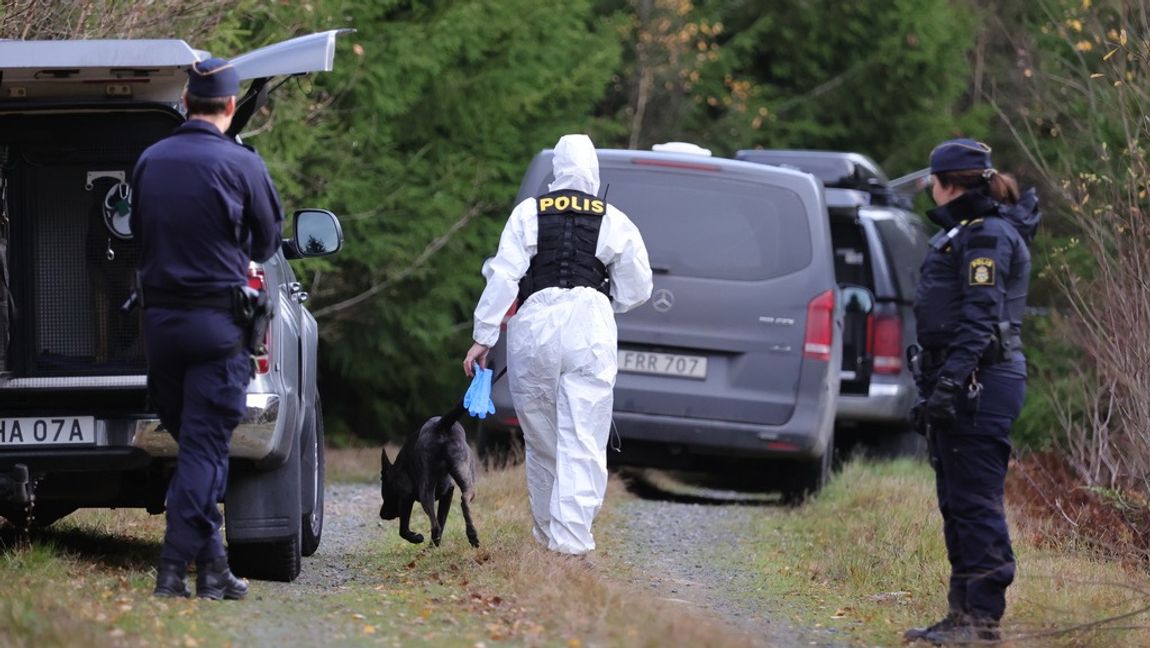 Toves kropp hittades i skogen utanför Vetlanda. En av de häktade har nu medgivit en misshandel som slutade med att hon avled men hävdar att det aldrig fanns en önskan att döda Tove. Foto: Adam Ihse/TT