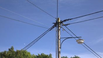 Foto: Averater, CC BY-SA 3.0, via Wikimedia Commons.