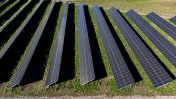 Foto: Johan Nilsson/TT.