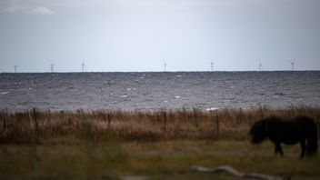 Intresset för att bygga ut vindkraft tycks hänga ihop med subventioner. Foto: Johan Nilsson/TT