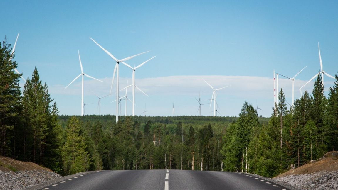 Markbygdens vindkraftspark i Piteå befinner sig i ekonomisk stiltje, men SVT:s entusiasm har inte mojnat. Foto: Helena Landstedt/TT