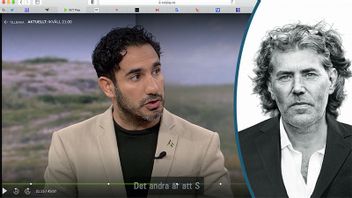 Bilden av en utomeuropeisk invandrare. Han kom till Sverige från Iran som elvaåring. Vad gör han idag? Städare? Diskare? Nej, Ardalan Shekarabi är socialförsäkringsminister. Foto: Skärmavbild SVT/Karl Gabor