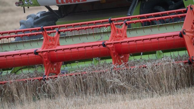 Ukraina är stor exportör av spannmål. Arkivbild. Foto: Fredrik Sandberg/TT 