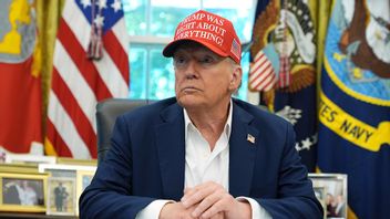 Donald Trump. Foto: Jacquelyn Martin/AP/TT