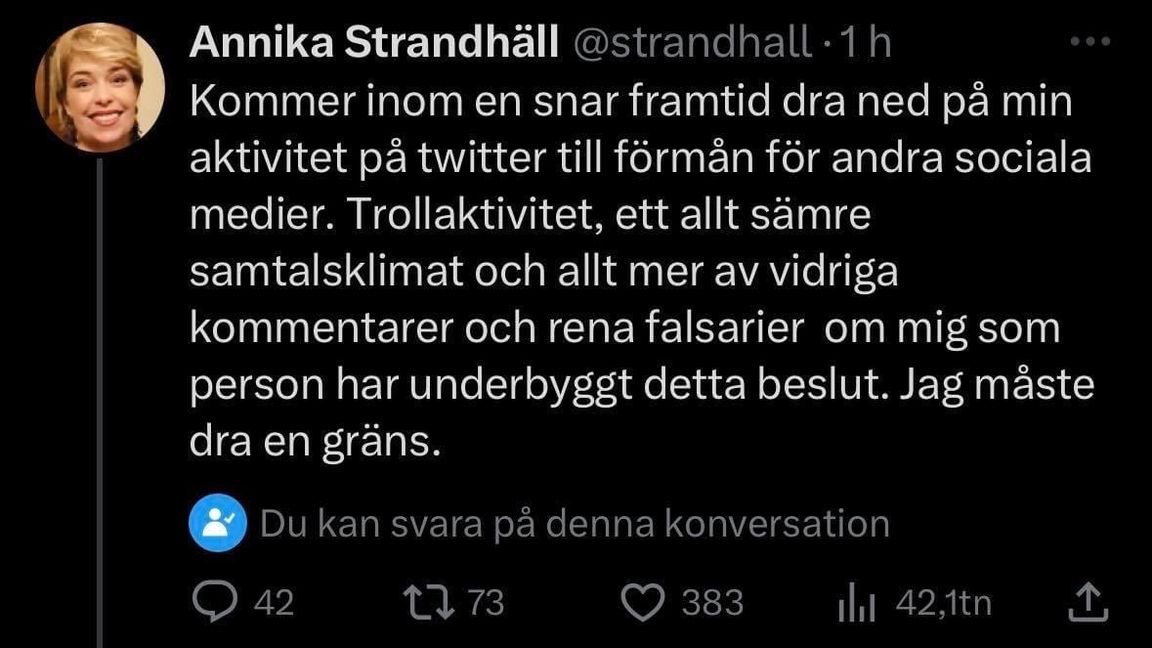 Annika Strandhäll ska minska sitt twittrande. Foto: Twitter