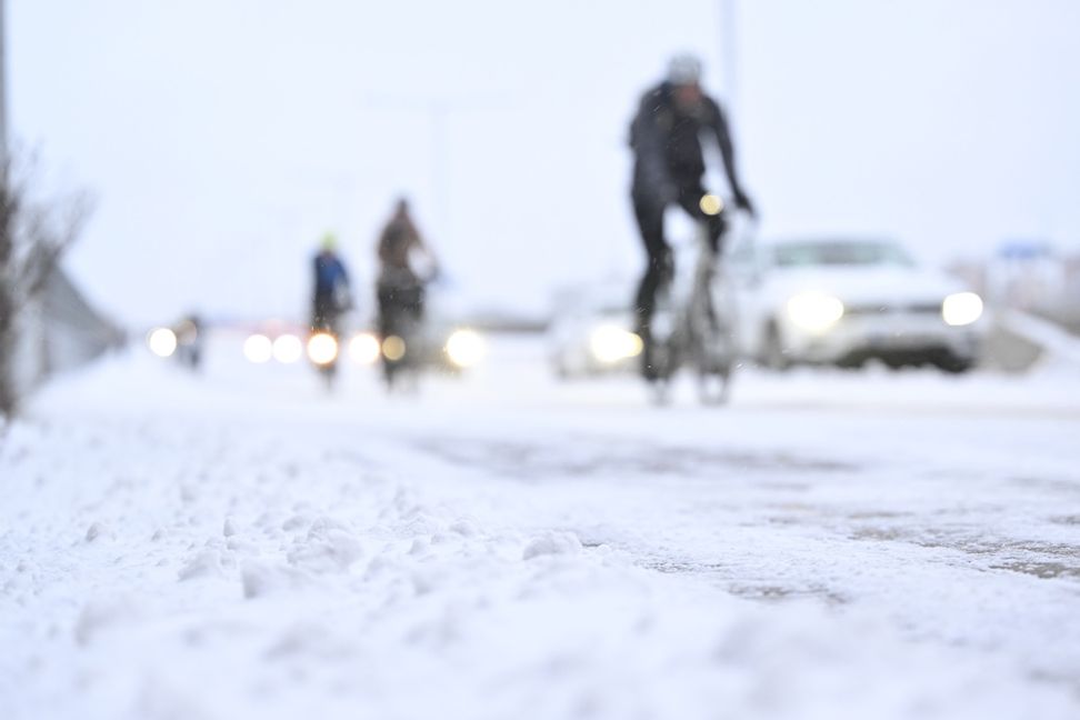 Årets första snö har fallit i Stockholm. Foto: Henrik Montgomery/TT