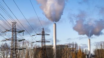 Foto: Johan Nilsson/TT.