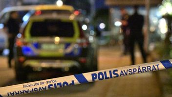 Genrebild. Foto: Johan Nilsson / TT