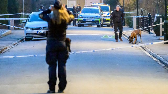 Polisen är på plats och söker med hund i villaområdet i Malmö efter det att en kvinna skadats i en skottlossning. Johan Nilsson/TT