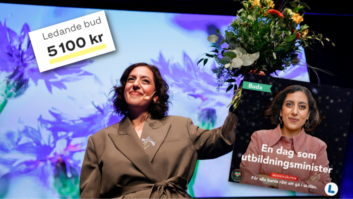 Foto: Adam Ihse/TT/Skärmdump via Tradera