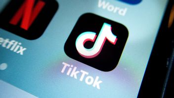 Skilda kvinnor från Mellanöstern och som flytt till väst hängs ut och smutskastas på Tiktok. Foto: Gorm Kallestad/NTB/TT