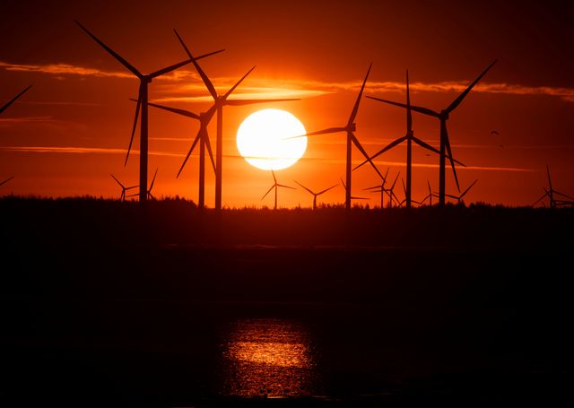 Den stora vindkraftsutbyggnaden betyder att kostnaderna för att garantera det svenska elsystemets leveranssäkerhet kommer att öka kraftigt de kommande åren, uppger myndigheten Svenska kraftnät. Foto: Christian Charisius.