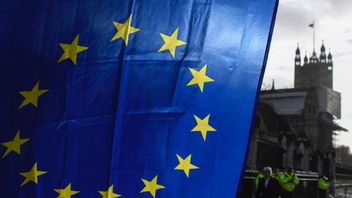 Alberto Pezzali/AP/TT
En EU-flagga som hålls upp av en demonstrant utanför Westminster i London.