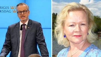 Elisabeth Ellidotter jobbade som assistent åt Mikael Damberg (bilden). Foto: Skärmavbild: Socialdemokraterna/Riksdagen/Privat..
