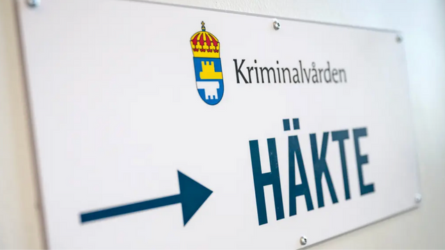 Foto: Johan Nilsson/TT