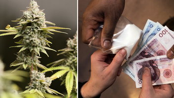 Foto: Tony Dejak/Knut Fjeldstad/AP/TT