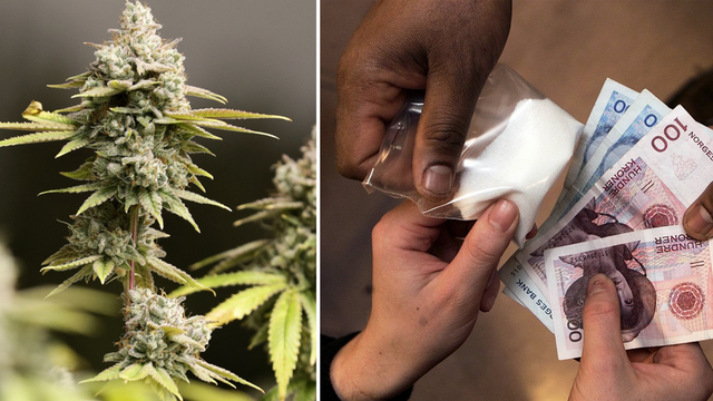 Foto: Tony Dejak/Knut Fjeldstad/AP/TT