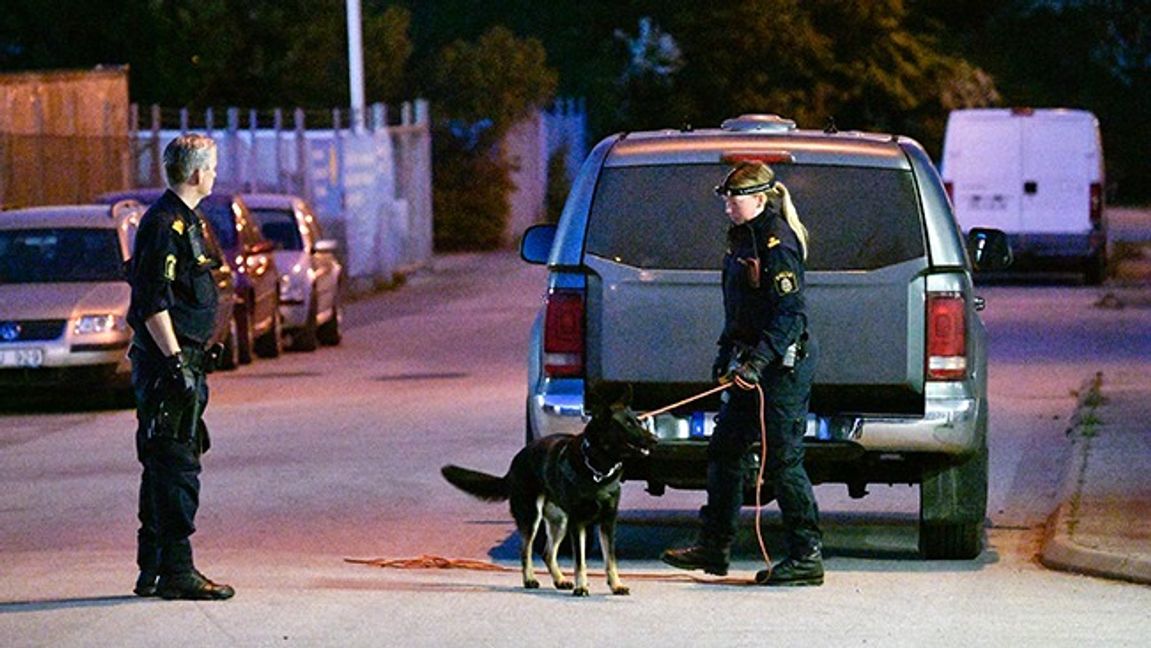 Polis och hundpatrull var på plats för att leta reda på flera gärningspersoner. Arkivbild. Foto: Johan Nilsson/TT