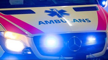 Genrebild. Foto: Johan Nilsson/TT