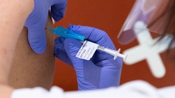 Foto: Johan Nilsson, TT.