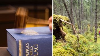 Äganderätten i skogen försvagas: Ny dom ökar makten till miljöorganisationer. Foto: Henrik Montgomery och Gorm Kallestad/TT. 