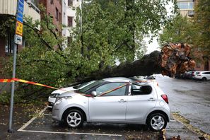 Ett stort träd har fallit över flera bilar på en parkeringsplats i Gårda i Göteborg. Björn Larsson Rosvall/TT