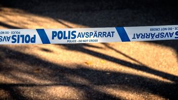 Arkivbild. Foto: Anders Wiklund/TT