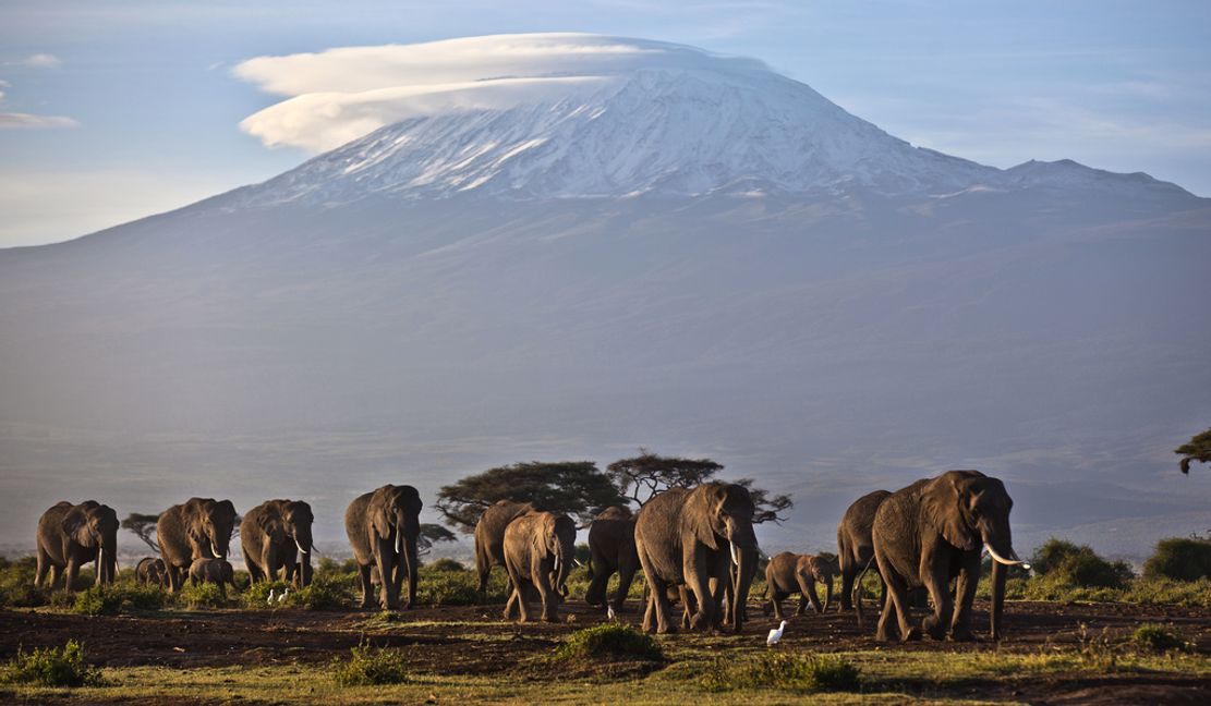 Fem personer har omkommit i en helikopterkrasch på Kilimanjaro. Arkivbild. Ben Curtis/AP/TT