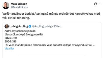 Korn: Medveten förstörelse av ordens mening